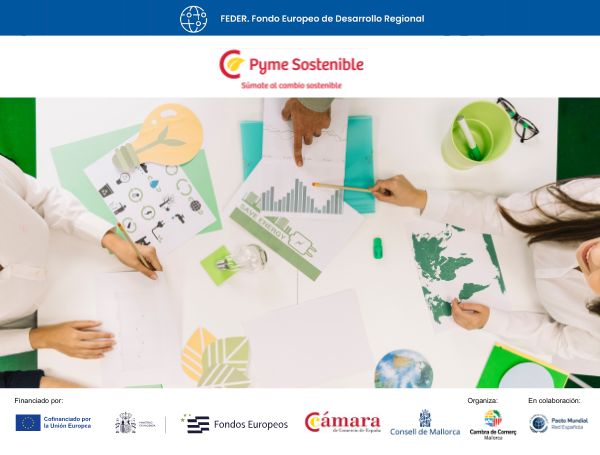 Ayudas y estrategias para reforzar la sostenibilidad de las pymes